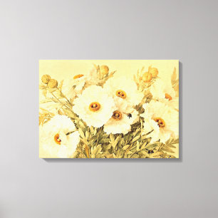 Vintage Matilija Poppies - Stretched Canvas Print