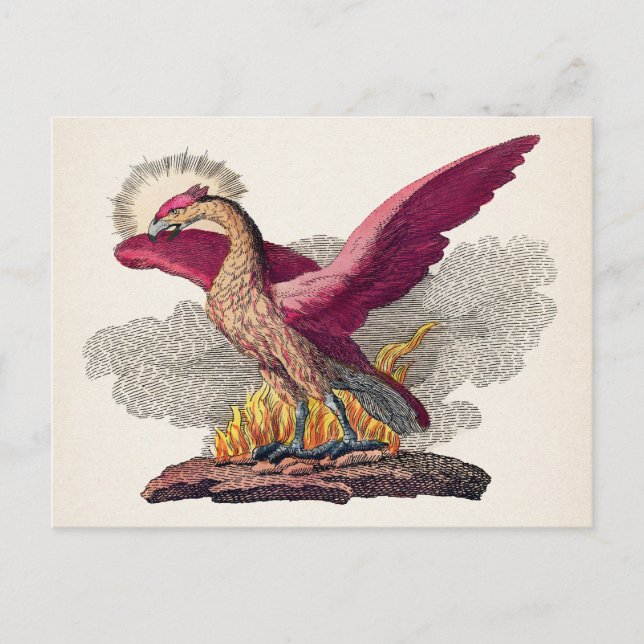 Vintage Mediaeval Phoenix Postcard (Front)