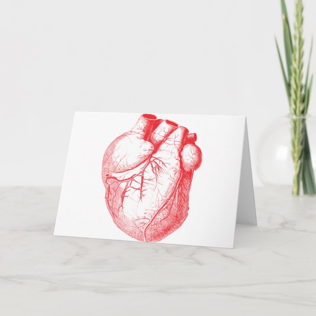 Vintage Medial Heart Illustration Holiday Card (Front)