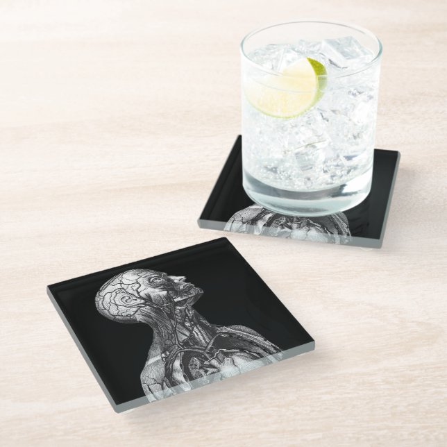 Vintage Medical Anatomy Glass Coaster (Angled)