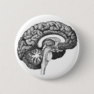 Vintage medical anatomy illustration human brain 6 cm round badge