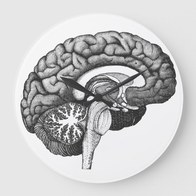 Vintage medical anatomy illustration human brain large clock (Front)
