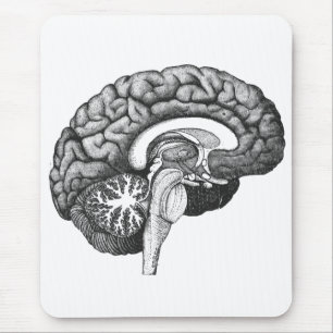 Vintage medical anatomy illustration human brain mouse mat