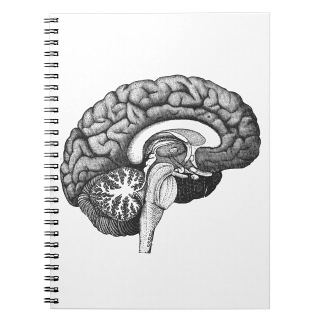 Vintage medical anatomy illustration human brain notebook (Front)