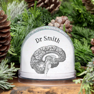 Vintage medical anatomy illustration human brain snowglobe