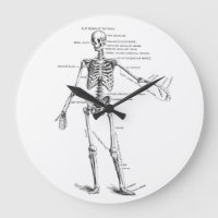 Vintage medical anatomy skeleton doctor diagram