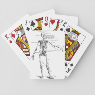 Vintage medical anatomy skeleton doctor diagram playing cards