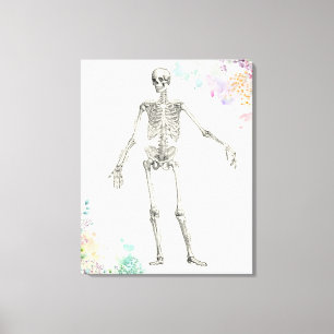 Vintage medical anatomy skeleton flower diagram canvas print