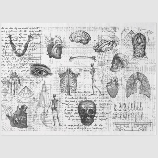 Vintage Medical Body Gothic B&W Tissue Paper (Front)
