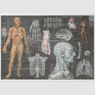Vintage Medical Body Gothic Halloween Tissue Paper
