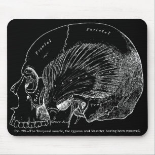 Vintage Medical Drawing Human Temporal Muscle Mouse Mat