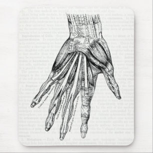 Vintage Medical Drawing Muscles of the Hand Mouse Mat