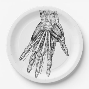 Vintage Medical Drawing Muscles of the Hand Paper Plate