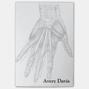 Vintage Medical Drawing Muscles of the Hand Post-it Notes