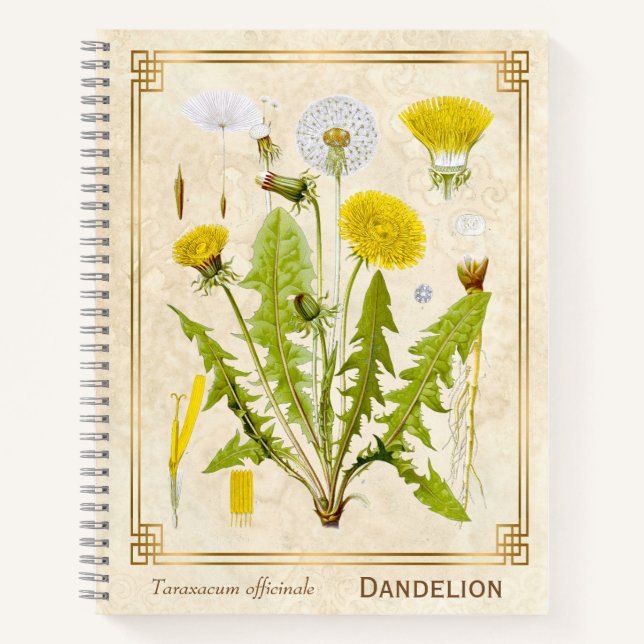 Vintage Medicinal Herb Dandelion Flower Botanical Notebook (Front)