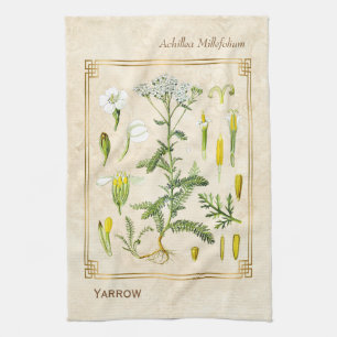 Vintage Medicinal Herb Yarrow Flower Botanical Tea Towel