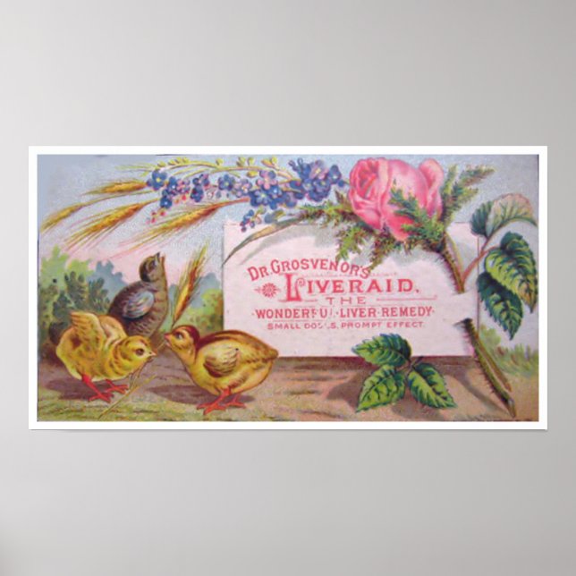Vintage Medicine Poster (Front)