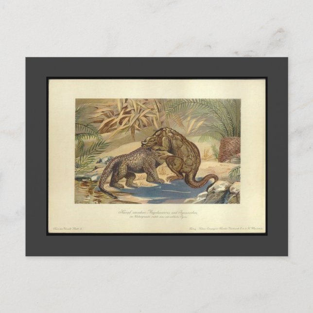 Vintage Megalosaurus VS Iguanodon Postcard (Front)