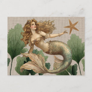 Vintage Mermaid & Sea Star Postcard