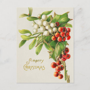 Vintage Merry Christmas Holly Branch Art Postcard