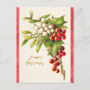 Vintage Merry Christmas Holly Postcard