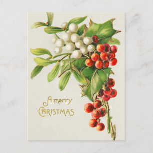 Vintage Merry Christmas Red & White Holly Berries Holiday Postcard