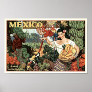 Vintage Mexico Land of Tropical Splendor Poster