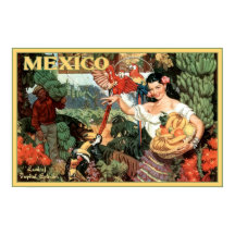 Vintage Mexico Land of Tropical Splendor Travel