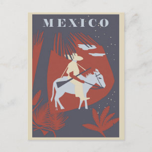 Vintage Mexico Palm Tree Travel Postcard