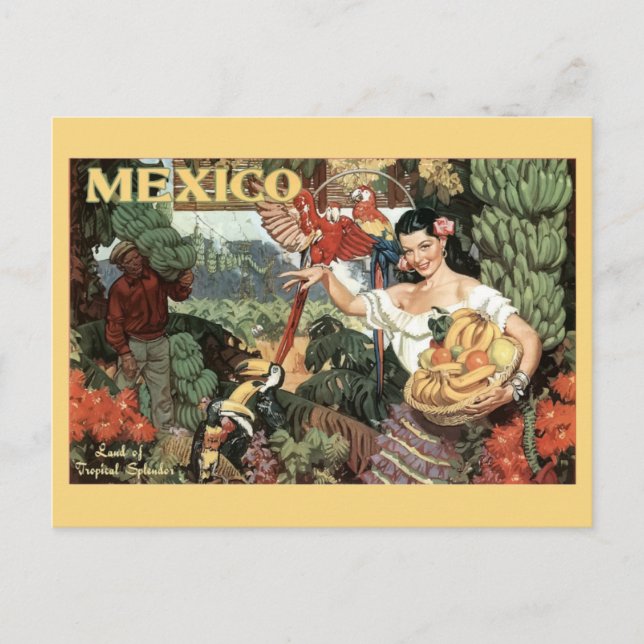 Vintage Mexico Tourism Tropical Colourful Travel Postcard (Front)
