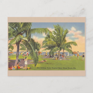 Vintage Miami Beach Florida Sunbathing Post Card