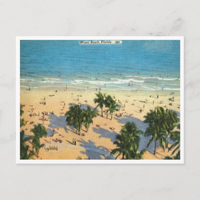 Vintage Miami Beach, Florida Travel Postcard (Front)