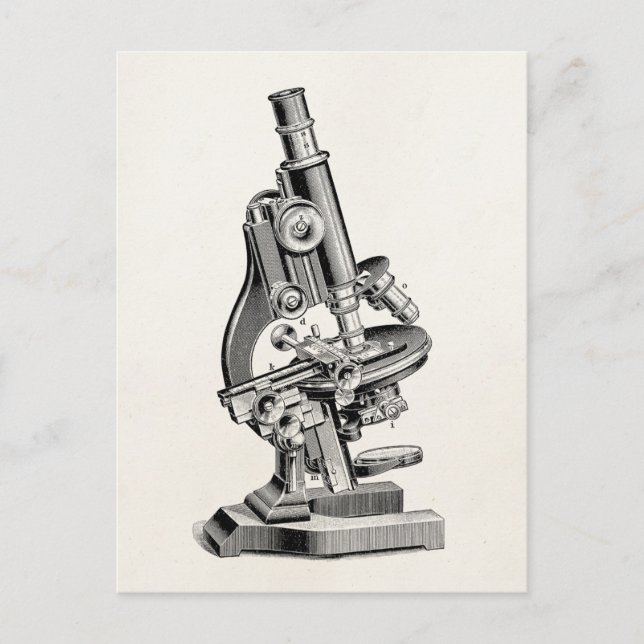 Vintage Microscope Illustration Retro Steampunk Postcard (Front)