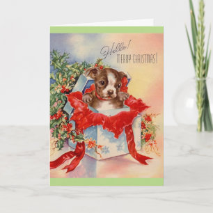 Vintage Mid Century Beautiful Baby Boston Terrier Holiday Card