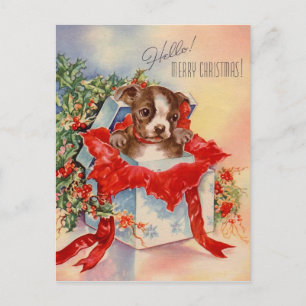 Vintage Mid Century Beautiful Baby Boston Terrier Postcard