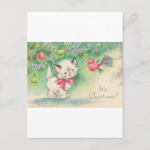 Vintage Mid Century Beautiful Baby Puppy Kitten Postcard