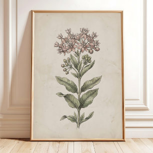 Vintage Milkweed Flower Farmhouse Wall Art Canvas