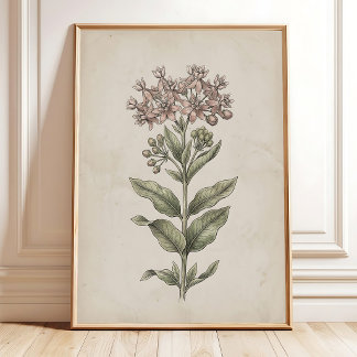 Vintage Milkweed Flower Farmhouse Wall Art Canvas