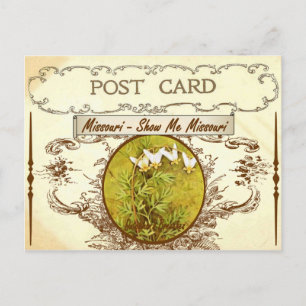 Vintage Missouri State Flower Postcard