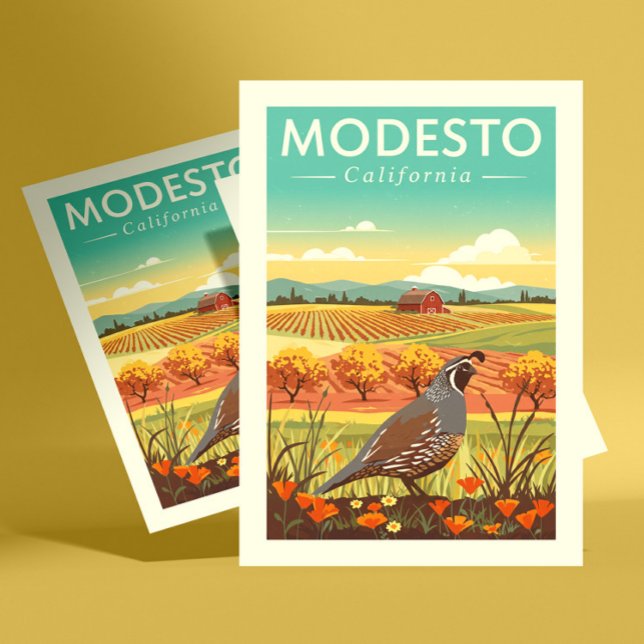 Vintage Modesto California Postcard (Creator Uploaded)