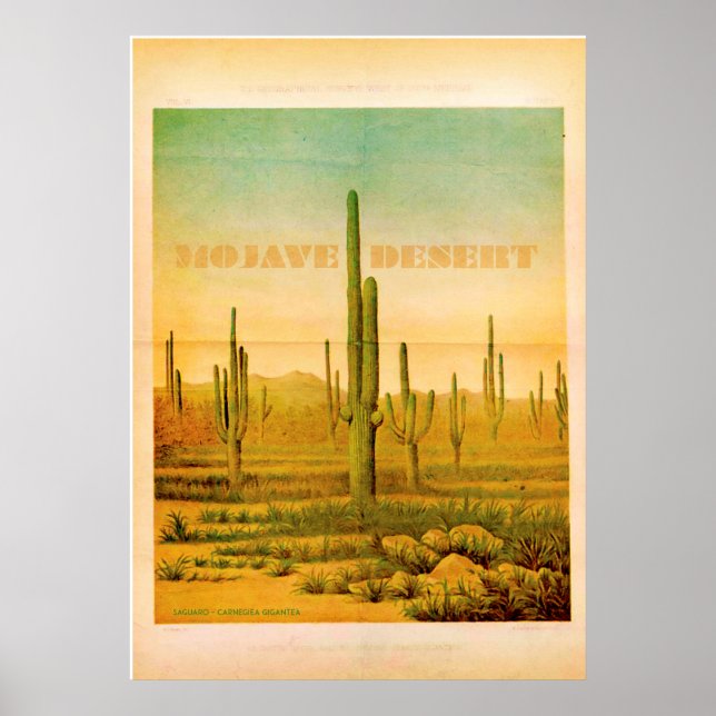 Vintage Mojave Desert Travel Poster (Front)