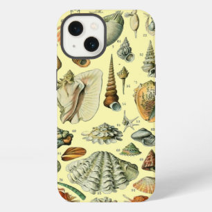 Vintage Mollusk Shell Seashell Art iPhone 13 Case