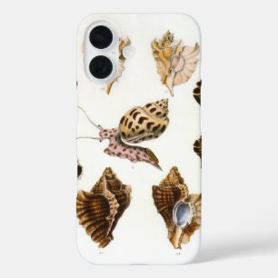 Vintage Mollusks and Snails, Marine Life Organisms iPhone 16 Case