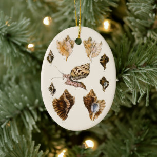Vintage Mollusks and Snails, Marine Life Organisms Ceramic Tree Decoration