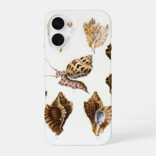 Vintage Mollusks and Snails, Marine Life Organisms iPhone 16 Case