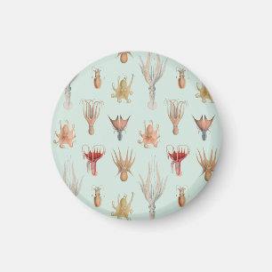 Vintage Mollusks (Blue) Magnet