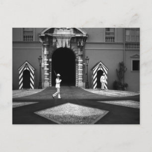 Vintage Monaco Principality princely palace Postcard