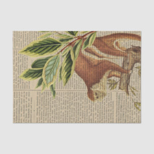 Vintage Monkey Collage Tissue Paper