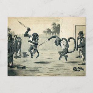 Vintage Monkey Duel Postcard