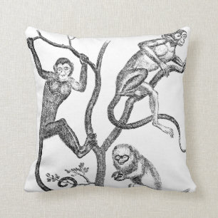 Vintage Monkey Illustration - 1800's Monkeys Cushion
